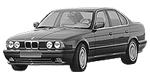 BMW E34 B270D Fault Code