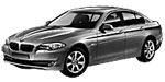 BMW F10 B270D Fault Code